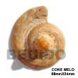 Cone Melo Pendant Shell Pendants