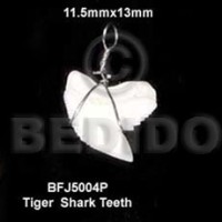 Tiger shark teeth pendant 11.5mmx13mm-