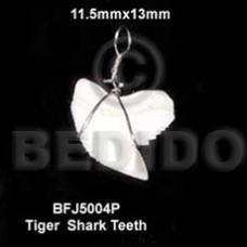 Tiger shark teeth pendant 11.5mmx13mm-