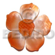 Graduated orange 25mm hammershell flower