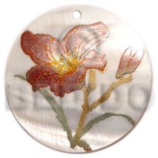 Round 50mm kabibe shell