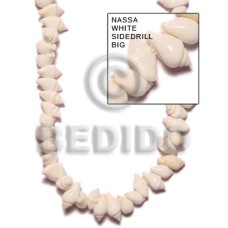 Nassa white big