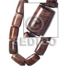 28mmx16mmx7mm conus pegulinus chiclet back