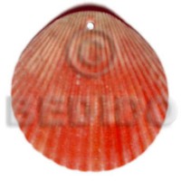 Red piktin clam