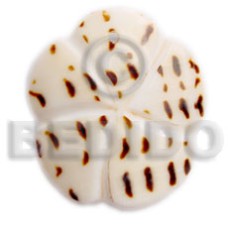 45mm scallop groove cunos