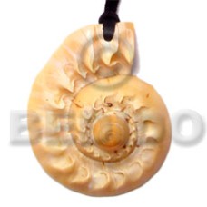 Cone melo shell