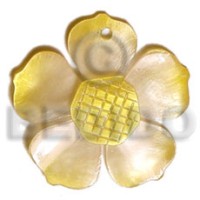Graduated yellow 25mm hammershell flower
