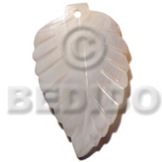 50mmx35mm kabibe shell leaf