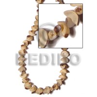 Buri tiger half moon